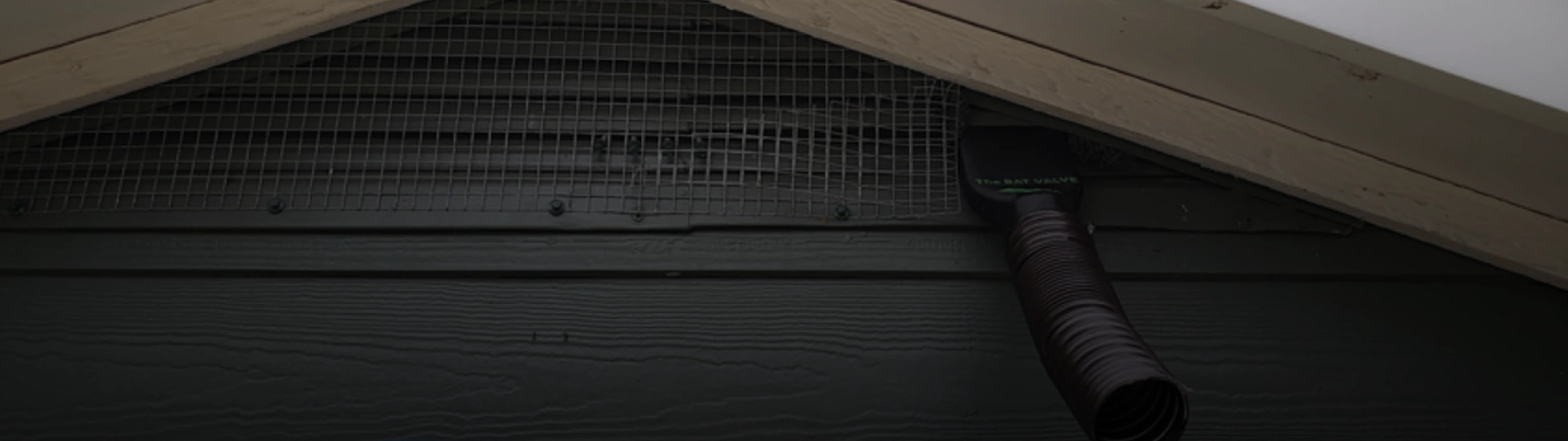 Bat Removal breadcrumb